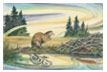 Beaver & Kits